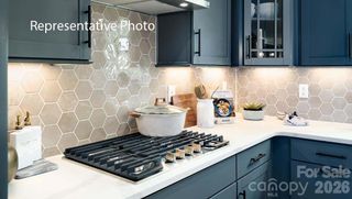 New construction Single-Family house 1011 Tundra Swan Dr, Indian Trail, NC 28079 plan Graymount - image