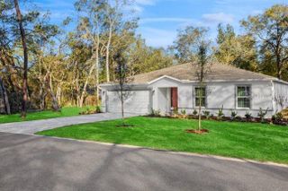 New construction Single-Family house 13075 Tinamou Ave, Brooksville, FL 34614 - image