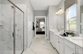 New construction Single-Family house 1022 Lacebark Dr, Ridgeville, SC 29472 plan Savannah - image