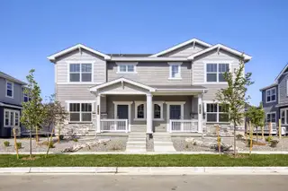 New construction Multi-Family house 6415 Masked Lark St, Fort Collins, CO 80528 plan Lucent II - image