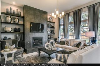 New construction Single-Family house 804 Wormwood Dr, League City, TX 77573 plan Sausalito - image