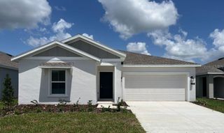 New construction Single-Family house 668 Sand Pine Lane, Haines City, FL 33844 Dover- photo