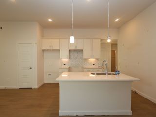 New construction Single-Family house 22776 Hackberry Leaf Dr, New Caney, TX 77357 plan Primrose - image