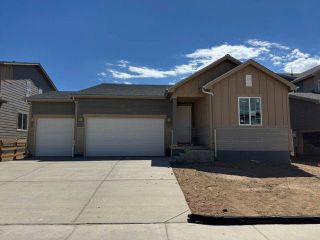 New construction  house 867 Mesic Ln, Windsor, CO 80550 plan Livingston - image