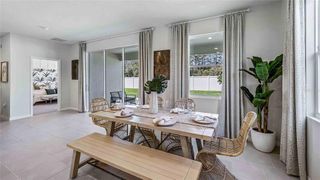 New construction Single-Family house 11105 Cotton Vale Pl, San Antonio, FL 33576 - image