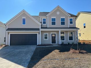 New construction Single-Family house 419 Rising Stream Wy, Chapin, SC 29036 plan Nottely - image