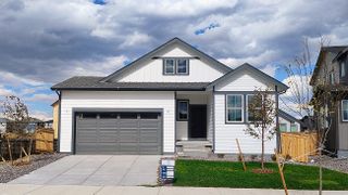 New construction  house 6061 Idlewild Pl, Brighton, CO 80601 plan 3500 - image