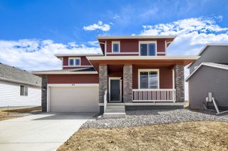 New construction Single-Family house 671 Noola St, Windsor, CO 80550 plan Rainier - image