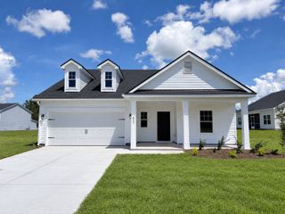 New construction Single-Family house 312 Nuculana Ct, Brunswick, GA 31525 plan The Dogwood - image