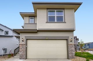 New construction Single-Family house 2550 Galena Peak Hts, Colorado Springs, CO 80904 plan Fir - image