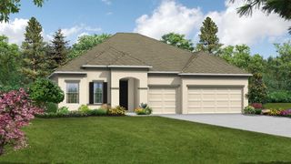 New construction Single-Family house 10081 Dolphin Gull Circle, Thonotosassa, FL 33592 The Venice- photo