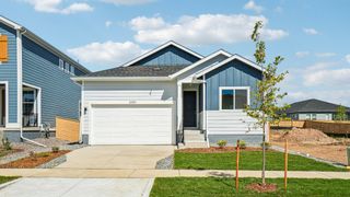 New construction Single-Family house 3202 Conquest St, Fort Collins, CO 80524 plan Cadence - image