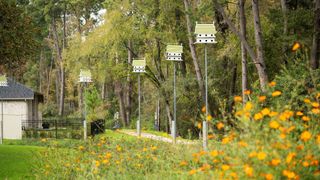 New construction house 14818 Whistling Duck Ln, Magnolia, TX 77354 plan 2442P - image