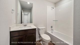 New construction Single-Family house 904 Lady Bird Ln, College Station, TX 77845 plan Amber - image