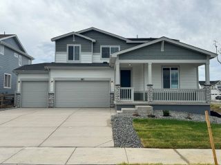 New construction Single-Family house 883 Mesic Ln, Windsor, CO 80550 plan Marion - image