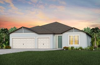New construction Single-Family house 13714 Brookside Haven St, Riverview, FL 33578 plan Astoria - image