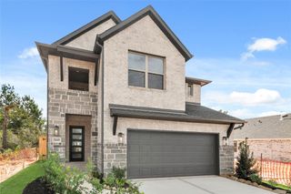New construction Single-Family house 26145 N Skylight Brook Cir, Montgomery, TX 77316 plan The Haven IX - image