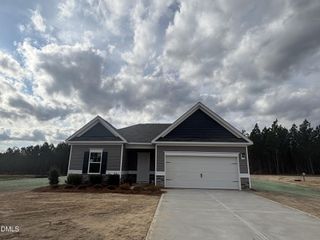 New construction Single-Family house 124 Pine Vista Wy, Sanford, NC 27332 - image