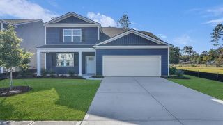 New construction Single-Family house 186 Bee Tree Blvd, Summerville, SC 29486 plan Salem - image