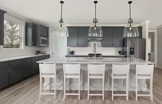 New construction Single-Family house 699 Coral Bells Ln, Summerville, SC 29486 plan Palmary - image