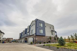 New construction  house 8327 Mount Kataka St, Littleton, CO 80125 plan Peak - image