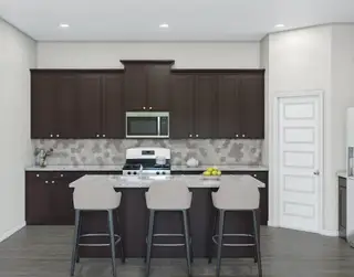 New construction Single-Family house 16615 Harmony Lea Ln, Hockley, TX 77447 plan Bluebird - image