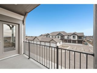 New construction Single-Family house 265 High Point Dr, Unit 207, Longmont, CO 80504 - image