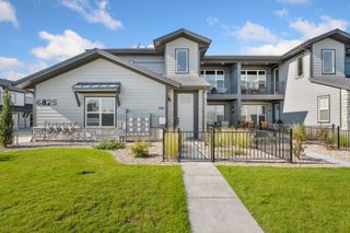 New construction Single-Family house 6794 School House Dr, Unit 204, Timnath, CO 80547 plan Monarch - image