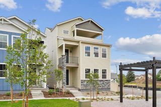 New construction Single-Family house 3047 Curly Grove, Colorado Springs, CO 80922 plan Primrose - image