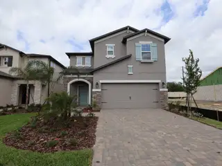 New construction Single-Family house 3373 Fall Harvest Dr, Zephyrhills, FL 33540 plan Castellana - image