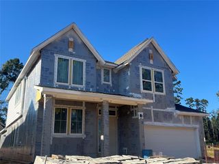 New construction Single-Family house 202 West Netleaf Court, Montgomery, TX 77316 Goldeneye- photo