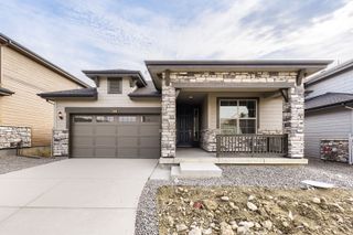 New construction Single-Family house 2976 S Kendrick Pkwy, Morrison, CO 80465 plan Springdale - image