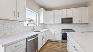 New construction Single-Family house 3162 Conquest St, Fort Collins, CO 80524 plan Sunflower - image