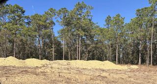 New construction  house 2751 W Mesa Verde Dr, Beverly Hills, FL 34465 plan 2330 - image