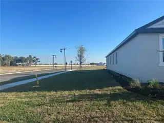 New construction Single-Family house 10179 Hidden Hammock Lp, Parrish, FL 34219 plan Plant - image