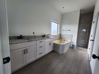 New construction Single-Family house 701 Golden Eagle Cv, Salado, TX 76571 - image