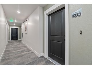 New construction Single-Family house 4210 Vulcan Creek Dr, Unit 206, Loveland, CO 80538 plan Stanford - image