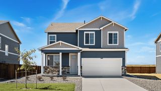 New construction  house 5961 Holstein Dr, Windsor, CO 80528 plan BELLAMY - image