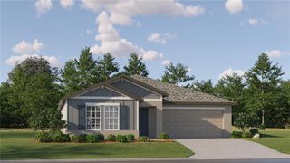 New construction Single-Family house 3644 Natural Trace Street, Plant City, FL 33565 Dover- photo