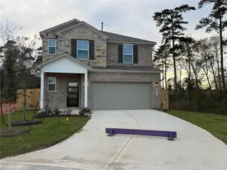 New construction Single-Family house 8043 Heroes Hall Dr, Magnolia, TX 77354 plan Mulberry - image