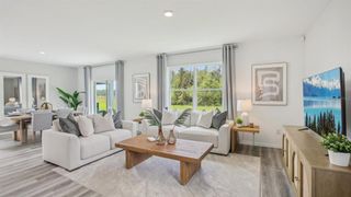 New construction  house 6761 Broad River Ave, Land O' Lakes, FL 34638 plan Elston II - image