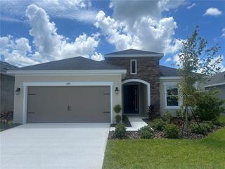 New construction Single-Family house 6085 Hidden Branch Drive, Apollo Beach, FL 33572 - photo