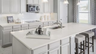 New construction Single-Family house 6024 Chestnut Grove Pl, St. Cloud, FL 34771 - image