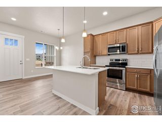 New construction Townhouse house 3425 Grayling Dr, Loveland, CO 80538 - photo