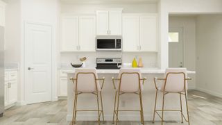 New construction house 31878 Griffin Sands Ln, San Antonio, FL 33576 plan Splendor II - image