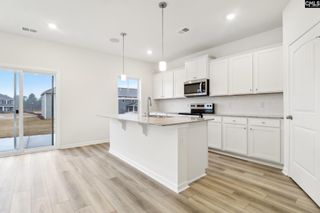 New construction Single-Family house 570 Griffon Dr, Chapin, SC 29036 plan Harper II - image