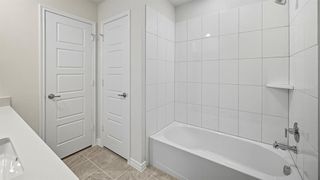 New construction Single-Family house 10424 Crusoe St, Aubrey, TX 76227 plan Lakehurst - image