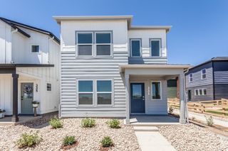 New construction Single-Family house 331 Flourish Ln, Fort Collins, CO 80524 plan Sage - image