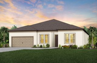 New construction Single-Family house 12113 Orchid Ash St., Riverview, FL 33579 Easley- photo