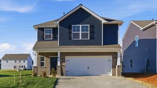 New construction Single-Family house 232 Chimney View Lp, Blountville, TN 37617 plan Darwin - image